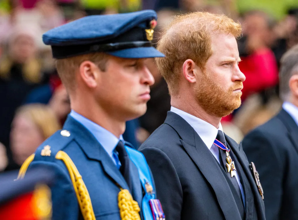 Prince William and Prince Harry side-by-side